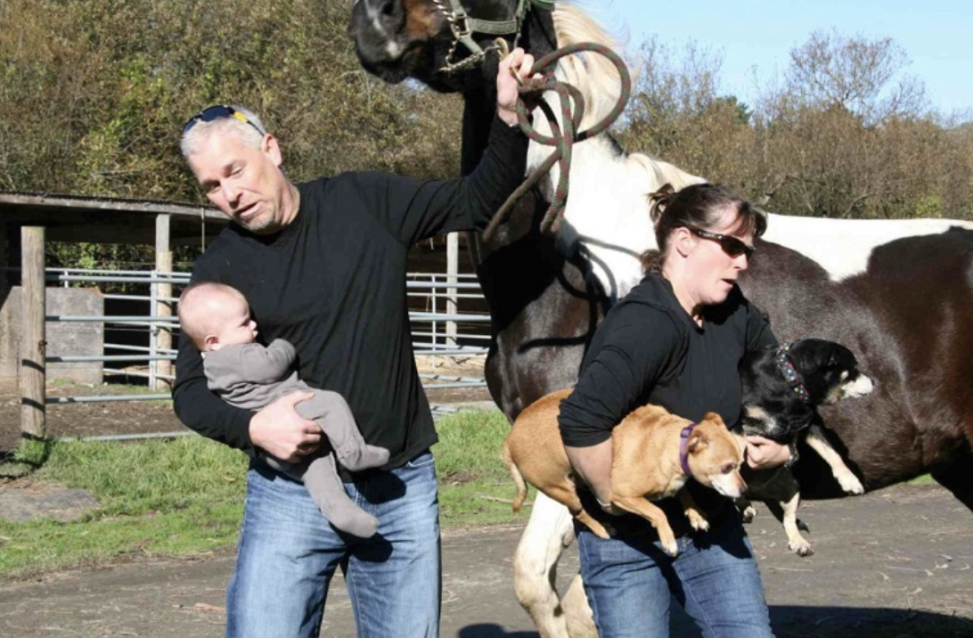 Képernyőfotó 2021-08-11 - 16.12.21