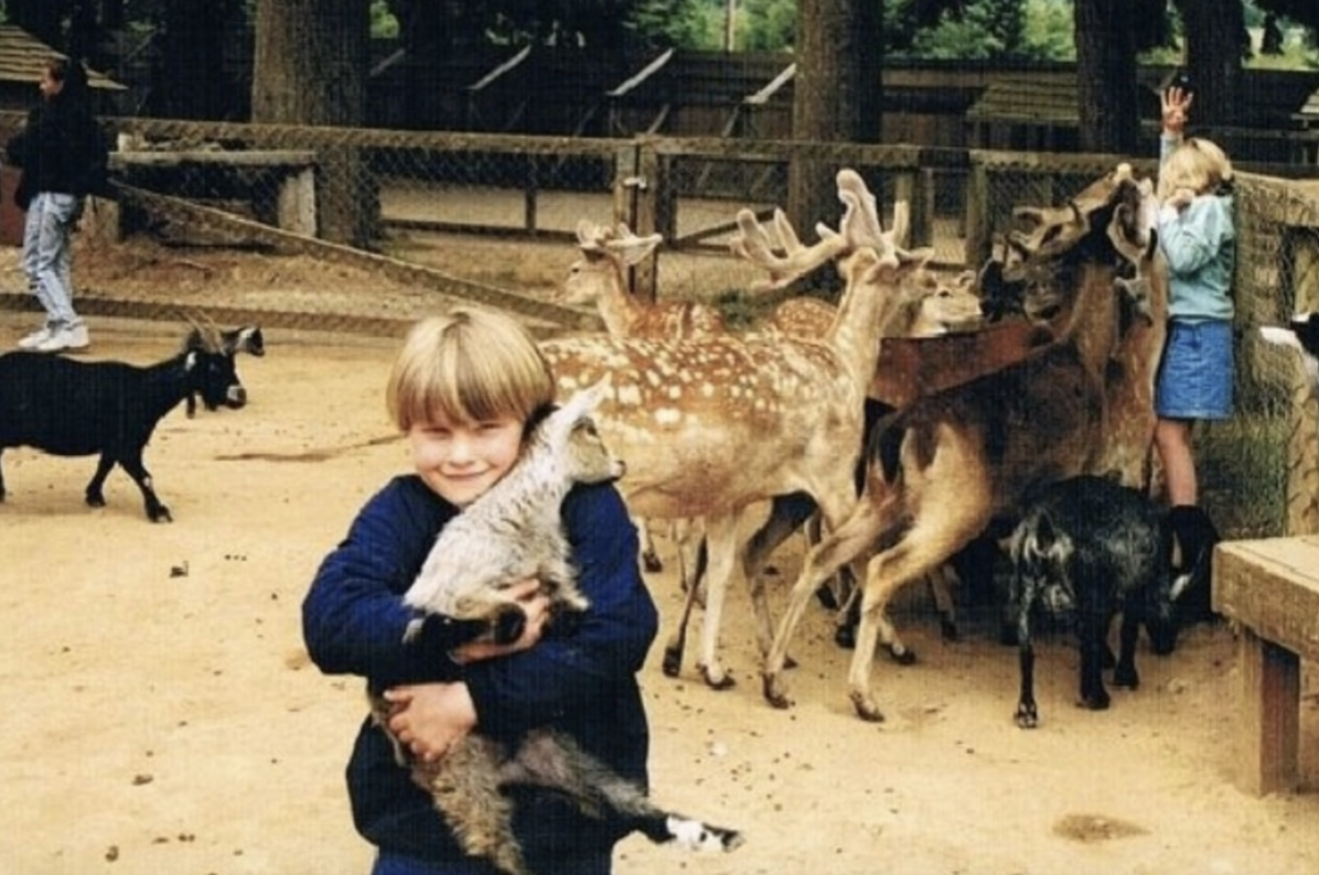 Képernyőfotó 2021-08-11 - 16.12.51